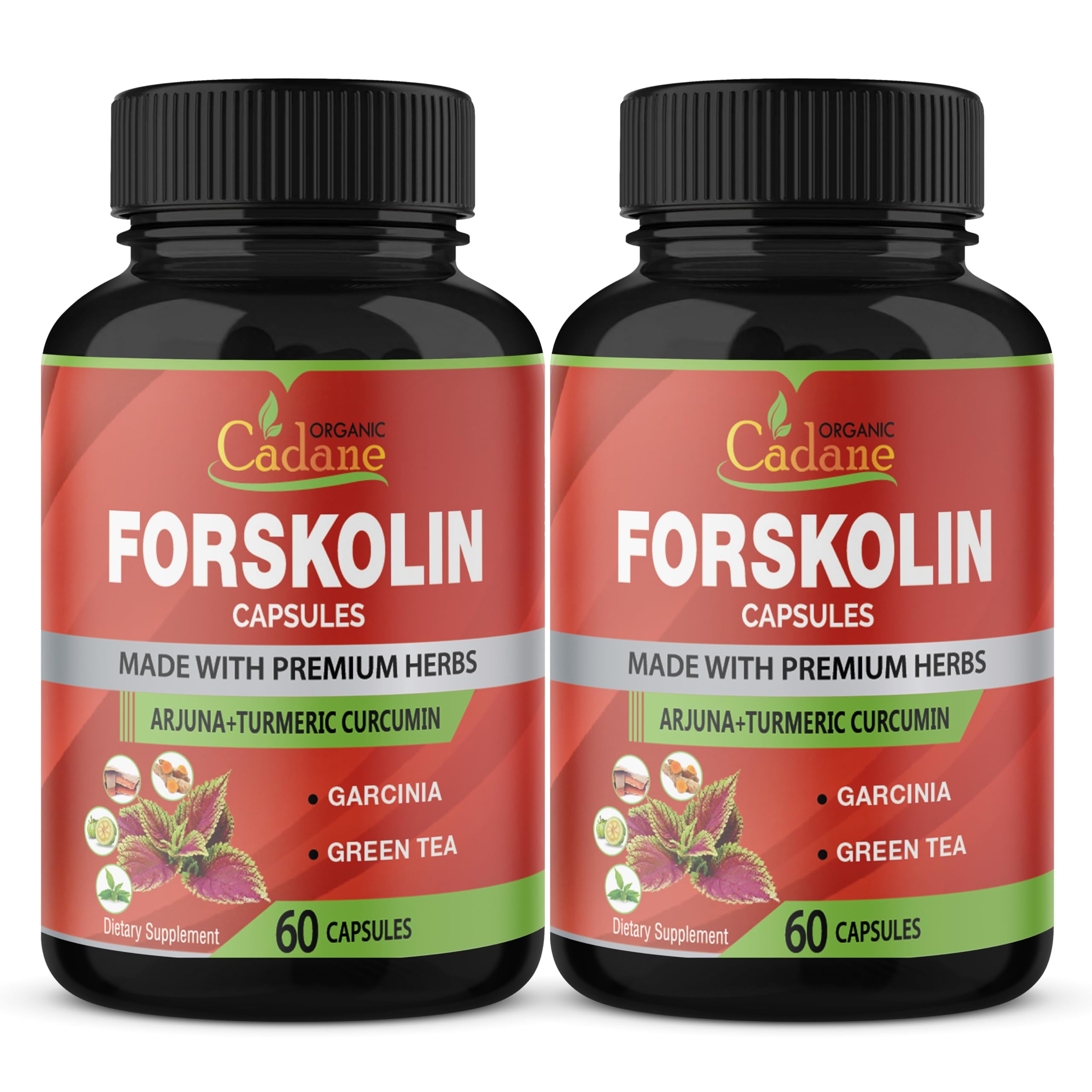 2 jars of forskolin