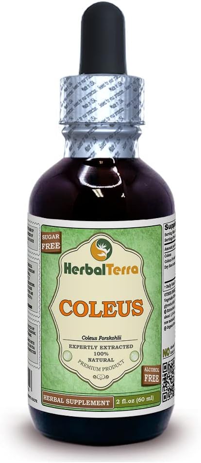 Herbal Terra LLC Coleus Glycerite, Dried Root Alcohol-Free Liquid Extract 2 oz